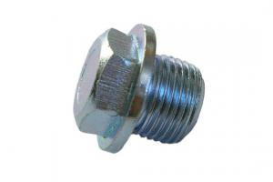 02 Sensor Plug Bolt